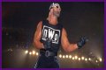 Hulk Hogan Was at His Meanest When He Vandalized the WCW World Heavyweight
Championship